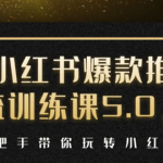 小红书爆款推广引流训练课5.0,手把手带你玩转小红书(17节实操视频+话术)-网创指引人