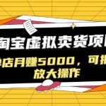 黑帽子淘宝虚拟卖货项目,单店月赚5000,可批量放大操作(无水印-视频课)-网创指引人