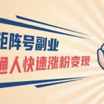 小红书矩阵号副业:普通人快速涨粉变现,一个3w粉账号价值3000元(无水印)-网创指引人