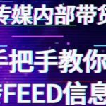 龙达传媒内部抖音带货密训营:手把手教你玩转FEED信息流,让你销量暴增-网创指引人