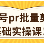 视频号pr批量剪辑0基础实操课，pr批量处理伪原创一分钟一个视频【共2节】