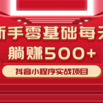 柚子最新小白赚钱项目,零基础每天躺赚500+抖音小程序实战项目-网创指引人