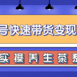 柚子视频号带货实操变现项目,零基础操作养身茶月入10000+【视频教程】-网创指引人