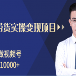 柚子分享课:微信视频号变现攻略,新手零基础轻松日赚千元!-网创指引人