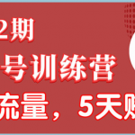 视频号训练营第2期:引爆流量疯狂下单,5天赚2万+全流程解析!-网创指引人