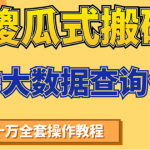 傻瓜式搬砖操作大数据查询信用赚钱方法:助你快速月入6万全套操作教程-网创指引人