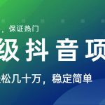 山城先生高级抖音项目:视频轻松几十万,稳定简单,快速上手,保证热门-网创指引人