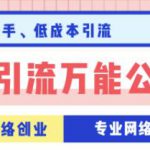 豆瓣引流万能公式3.0,让你掌握豆瓣引流的核心玩法