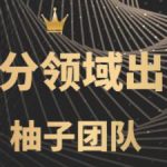闲鱼细分领域暴力出单玩法,低成本轻松做到单号月入5000+【视频教程】