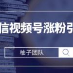 手把手教你运营微信视频号涨粉引流攻略,轻松涨粉10W+【视频课程】-网创指引人
