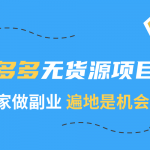 《2020副业项目:拼多多无货源》视频教程百度网盘资源,支持在线观看-网创指引人