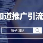2021最新百度知道推广引流技巧,分分钟就能学会【视频课程】-网创指引人