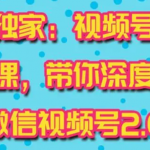 视频号运营实战课2.0，目前市面上最新最全玩法，快速吸粉吸金（10节视频）-网创指引人
