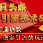 狼叔今日头条引流技术6.0,打造爆款稳定引流的玩法-网创指引人