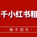 月入五千小红书粗暴赚钱玩法,适合上班族的赚钱副业【视频课程】-网创指引人