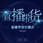 王通《直播带货引爆点》,教你直播带货年赚100万【视频课程】-网创指引人