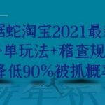 数据蛇淘宝2021最新三大补单玩法+稽查规则,降低90%被抓概率-网创指引人