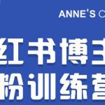 小红书博主涨粉训练营:一篇笔记爆涨10000粉及引流微信的技巧-网创指引人