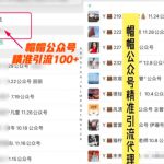 7天玩转微信公众号被动引流系统,日引100+精准流量【视频课程】-网创指引人