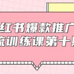 狼叔小红书爆款推广引流训练课第十期,手把手带你玩转小红书,轻松月入过万-网创指引人