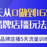 抖品牌店播5天流量训练营：28天从0做到1650万抖音品牌店播玩法揭秘-网创指引人