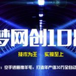 千梦网创108计第11计：空手进圈撸羊毛，打造年产值30万全自动羊毛收割机-网创指引人