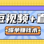 人人可操作的直播快速爆单术,0基础0粉丝,当天开播当天赚,月赚2万+(附资料包)-网创指引人