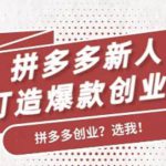 拼多多新人打造爆款创业课，快速引流持续出单，适用于所有新人-网创指引人