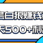 某团队内部实战赚钱项目，一天500+利润，人人可做