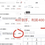 球鞋搬砖项目 “ 月入几万 ”