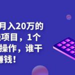 复制粘贴月入20万的闷声赚钱项目,1个人就可以操作,谁干谁赚钱!-网创指引人
