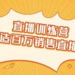 直播训练营:打造百万销售直播间教会你如何直播带货,抓住直播大风口-网创指引人