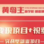 黄岛主小说变现副业项目：老项目新玩法，视频被动引流躺赚模式-网创指引人