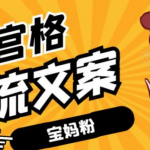 九宫格文案引流课:手把手教你快手引流精准宝妈粉【视频课程】-网创指引人