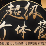 超级个体营:解锁个人“优势”,实现个人品牌持续变现(视频课-无水印)-网创指引人