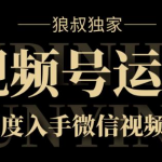 狼叔独家:视频号运营实战课8.0,带你深度入手微信视频号