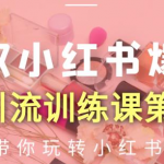 狼叔小红书爆款推广引流训练课第12期,手把手带你玩转小红书-网创指引人