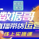 数据哥直播带货运营线上进阶课,让普通人也能靠直播赚钱!-网创指引人