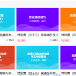 多多大师VIP拼多多运营培训课程价值2980元-网创指引人