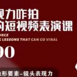 有了表现力咋拍都能火的短视频表演课,短视频爆款必备价值1390元-网创指引人