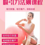 吸引财富课程+吸引力法则课程49节:完美实现你的梦想及愿望，让人身富足-网创指引人