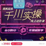 数据哥千川实操线上进阶课，全方位理解千川+流量的推送逻辑官网售价3980-网创指引人