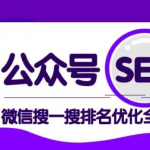 公众号seo,微信搜一搜排名优化课,每日被动精准引流上百【视频课程】-网创指引人