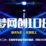 千梦网创108计第82计:王者教学淘宝无版权售卖,月收3000零花钱-网创指引人