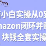 电商小白实操从0到1跑通AMAZON闭环并赚到一块钱全套实操【付费文章】-网创指引人