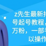 z先生最新抖音美女号起号教程,快速十万粉,一部手机就可以操作!-网创指引人