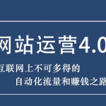 暴疯团队网站赚钱项目4.0:网站运营与盈利,实现流量与盈利自动化的赚钱之路-网创指引人
