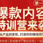 秋天老师·爆款内容特训营：从产品到变现，逐级跃迁，打造你的赚钱闭环-网创指引人