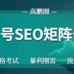 高鹏圈公众号SEO矩阵号群,实操20天纯收益25000+,普通人都能做-网创指引人