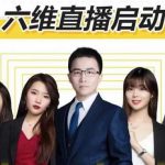 点金手六维直播启动:从三大板块、六大维度一一拆解直播带货的运营思路【视频课程】-网创指引人